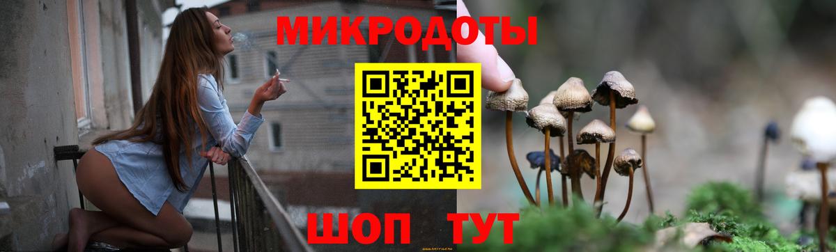где купить наркоту  Псилоцибиновые грибы Magic Shrooms  Вход с VPN  Галлюциногенные грибы мицелий  Кулебаки 